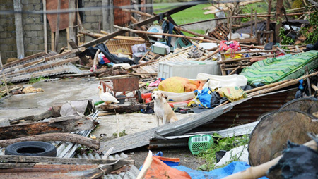 Bão Mangkhut tàn phá Philippines.